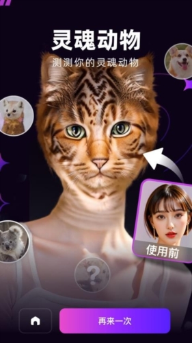 泡福免费版