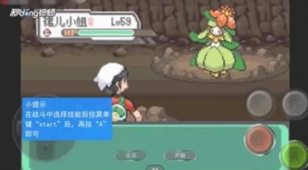 口袋妖怪传说绿宝石金手指图1