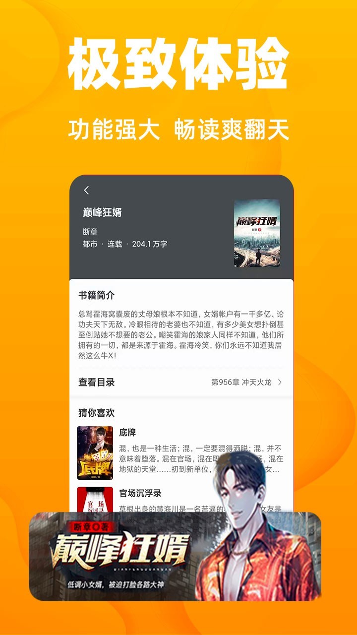 快读小说(2)