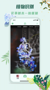 识花君最新版图2