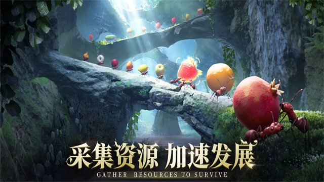 小小蚁国国际服版-图2