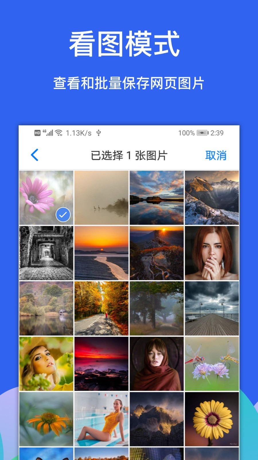 alook浏览器手机最新版图3