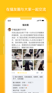 街猫手机版图3