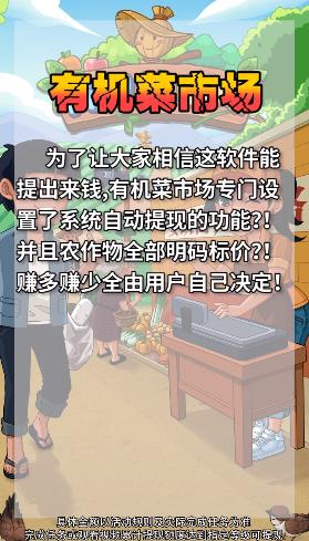 有机菜市场赚钱版图4