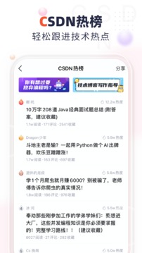 csdn正版图3
