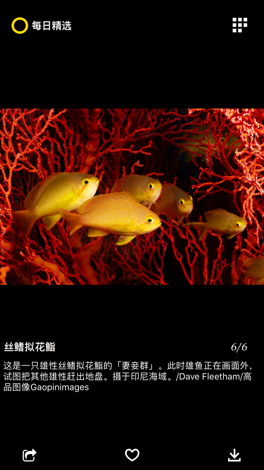 每日精选最新版图4