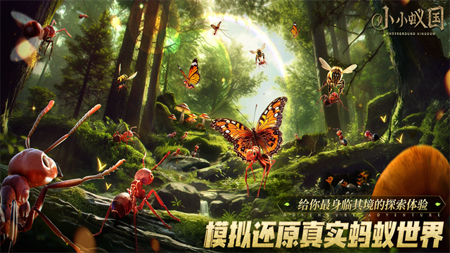 小小蚁国国际服版-图4