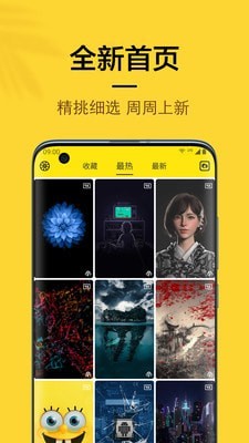 橙子4d动态壁纸最新免费版(2)