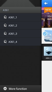NVSIP 免费原版图3