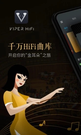 VIPER HiFi正版图4