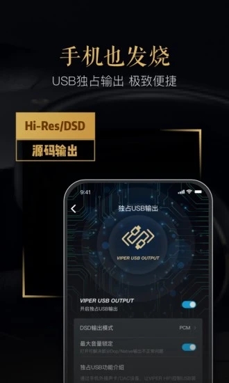 VIPER HiFi正版图2