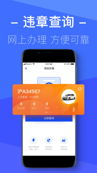 12123查违章图3