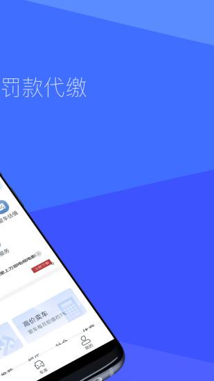 12123查违章图2