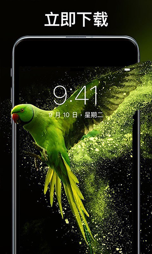 灵猫壁纸大全图4