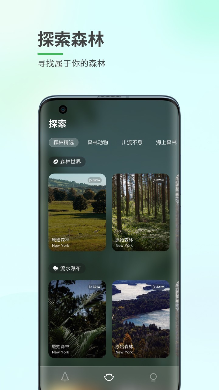森林白噪音直装版图1