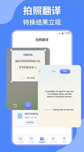 DeepL英译汉正版图3