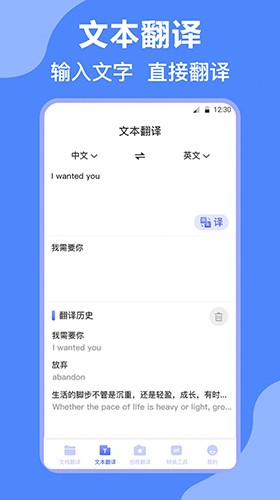 DeepL英译汉正版图1
