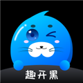 趣开黑无广告版