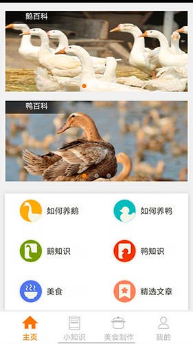 鹅鸭之家最新版图4