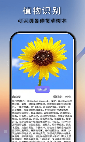 拍照识别原版图4