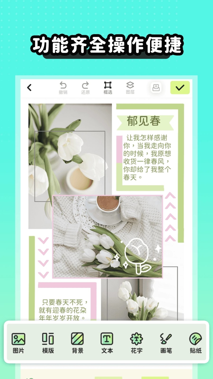 薄荷手帐安卓版(2)