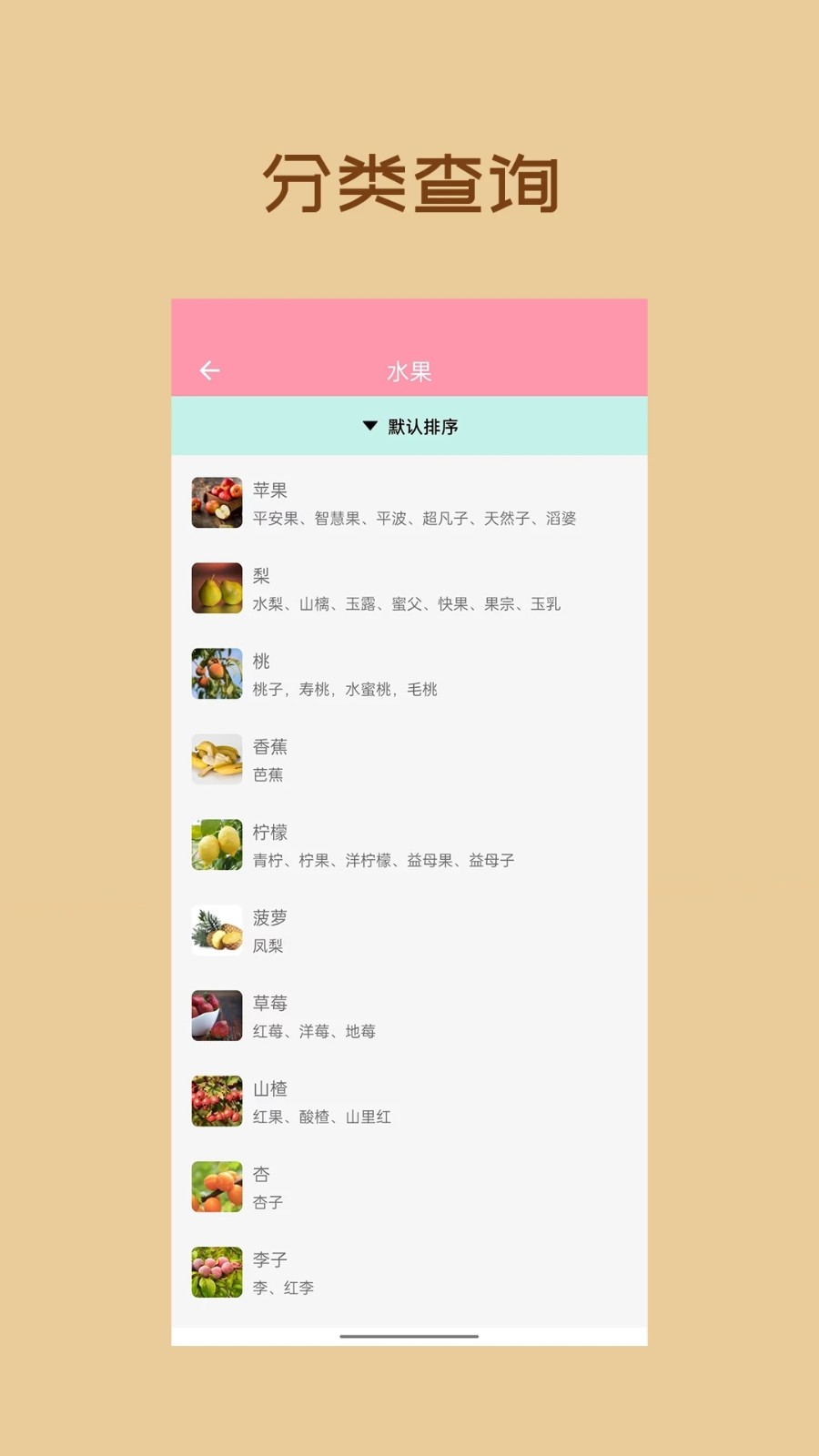 懒猪饮食通用版图2