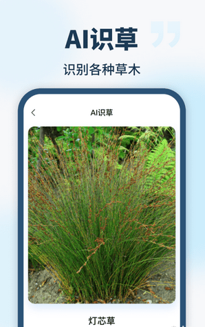 AI智能助手(3)