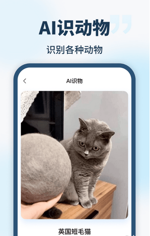 AI智能助手(2)