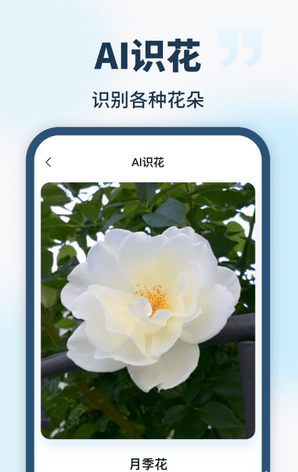 AI智能助手(4)