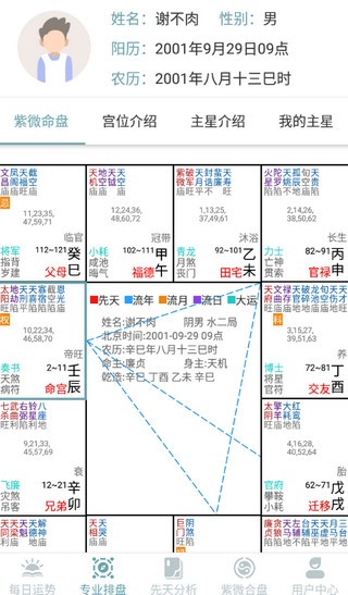 紫微斗数算命图3