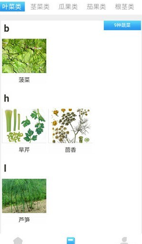 口袋菜农正版图1