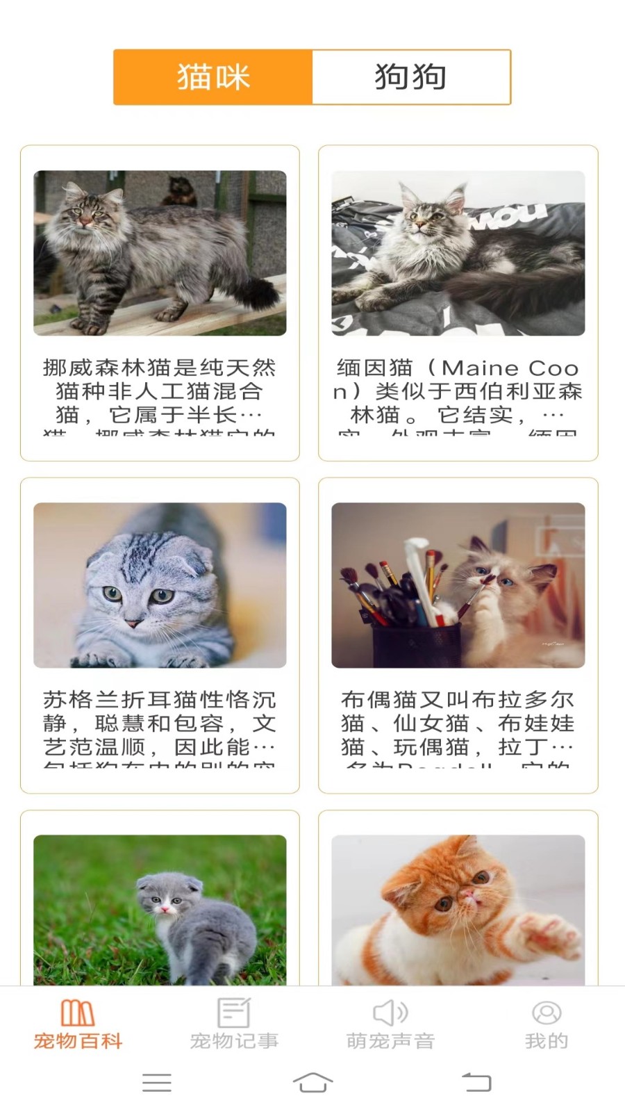 宠物多多通用版图3