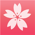 Sakura御影通用版