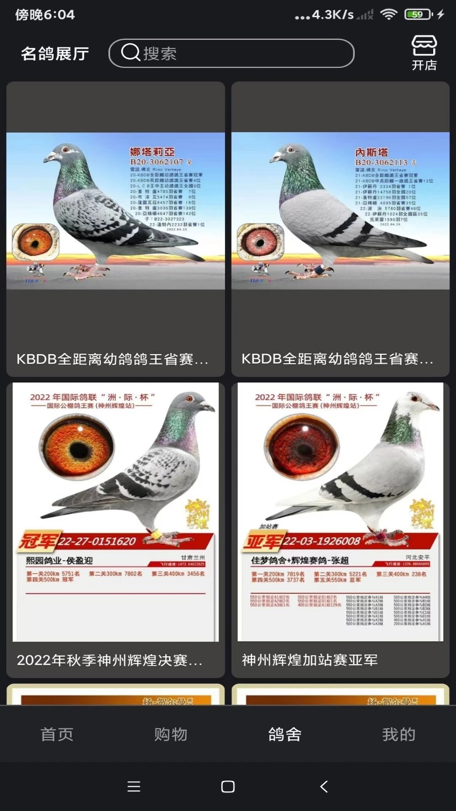 鸽报短视频官方最新版图3