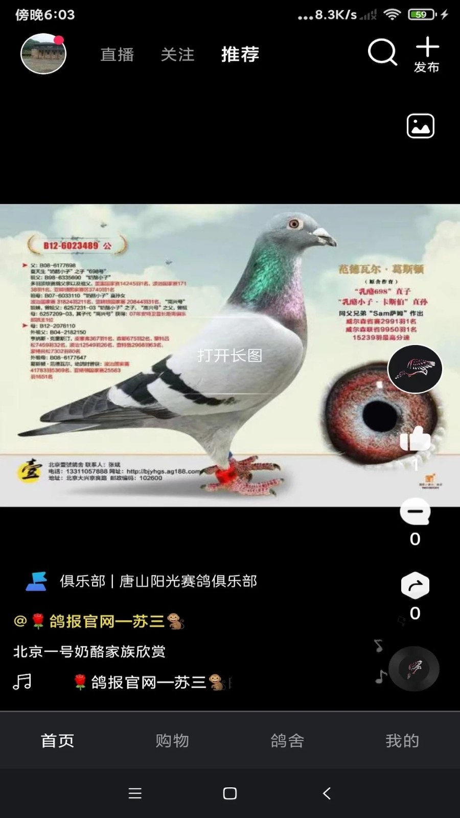 鸽报短视频官方最新版图2