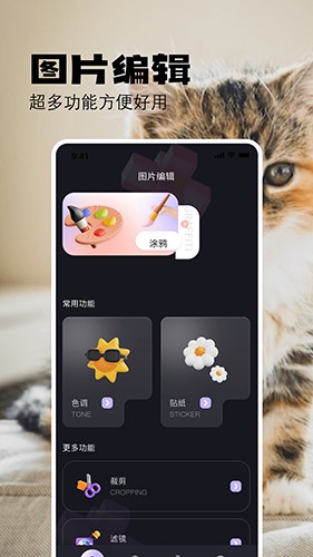 布偶相机官方版图2
