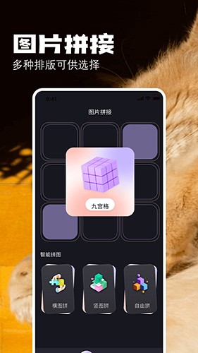 布偶相机官方版图1