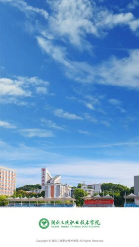 数智三职软件官方最新版图1