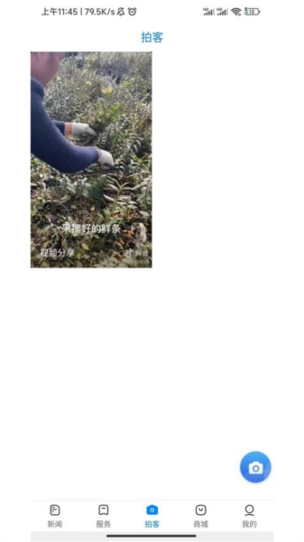 美稷免费原版图3