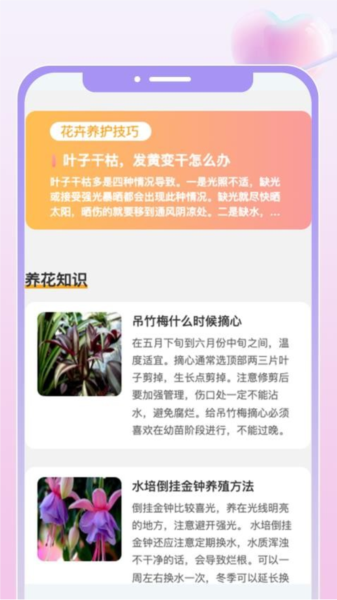 花汇趣看最新版图2