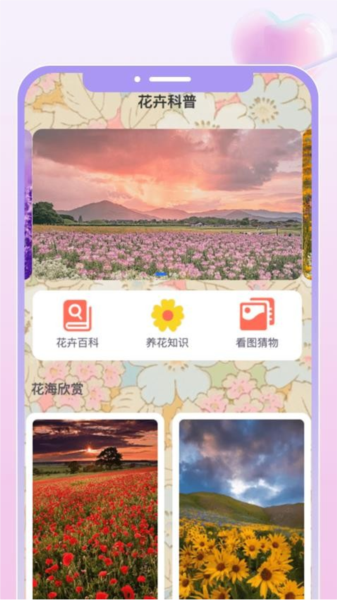 花汇趣看最新版图3
