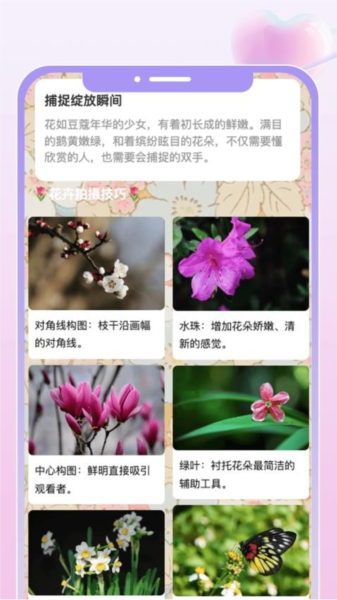 花汇趣看最新版图4