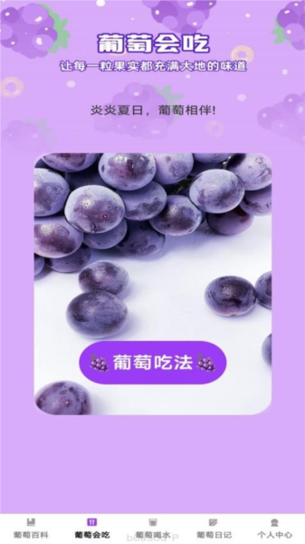 葡萄乐刷正版图3
