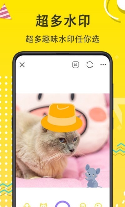 宠物Cam手机免费版图2