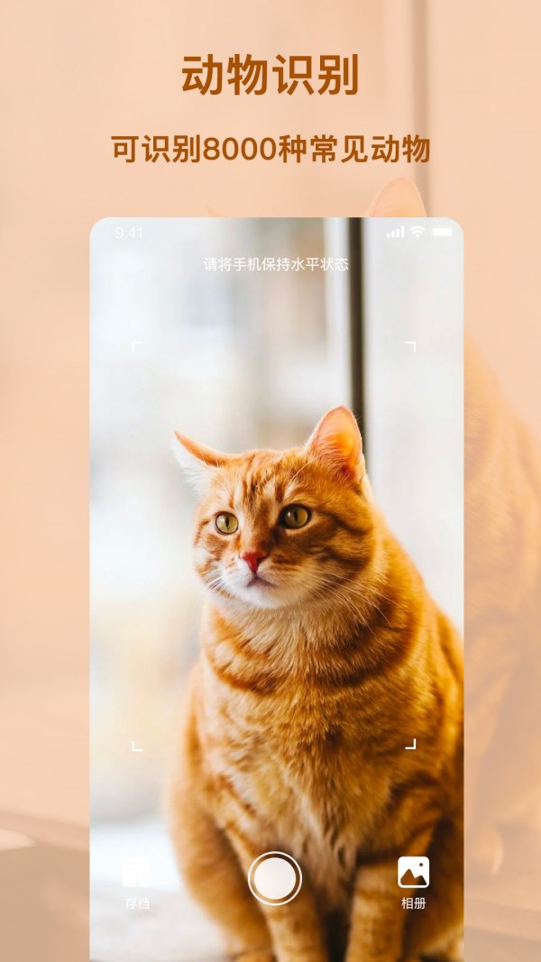 识物王直装版图2
