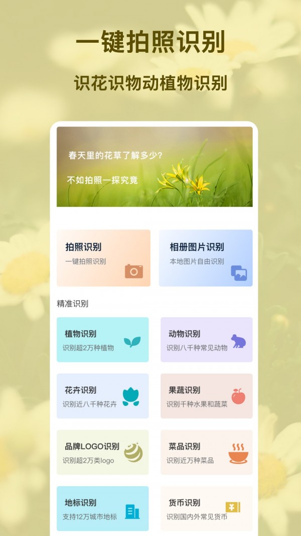 识物王直装版图4