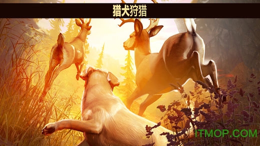 猎鹿人正版(3)