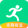 走路宝安卓直装版