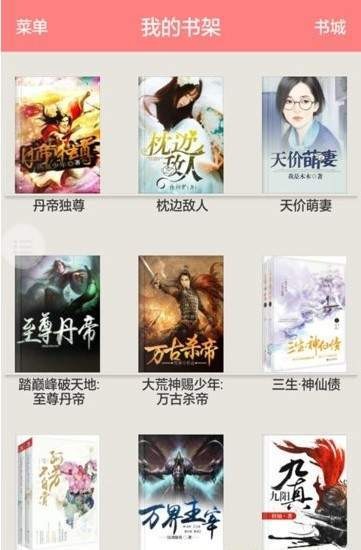 芝士小说直装版