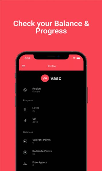 vshop免费原版图3